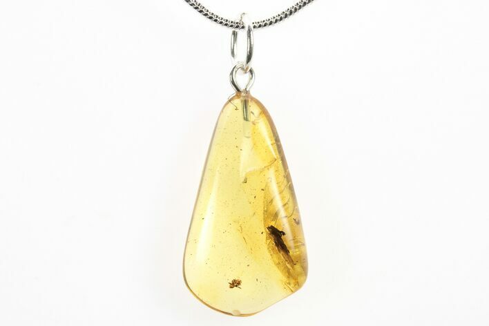 Polished Baltic Amber Pendant (Necklace) - Contains Spider! #275895